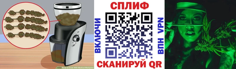 Купить где  Багратионовск  Cannafood конопля 