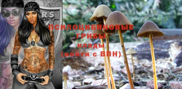 индика Кинешма