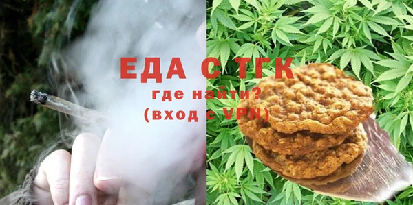индика Кинешма
