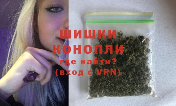 индика Кинешма