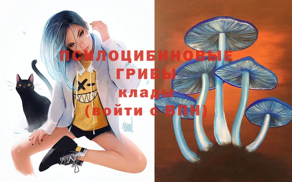 индика Кинешма