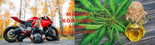 индика Кинешма
