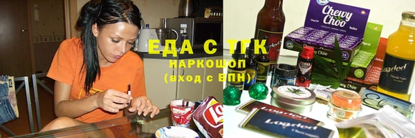 индика Кинешма