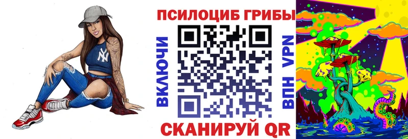 Купить  Багратионовск  Псилоцибиновые грибы Magic Shrooms 